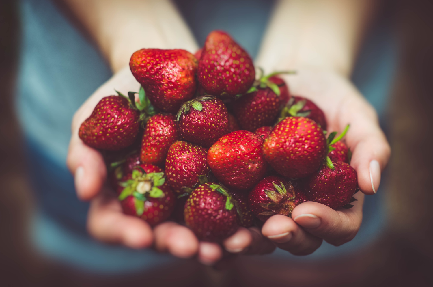 Fresh Fruits