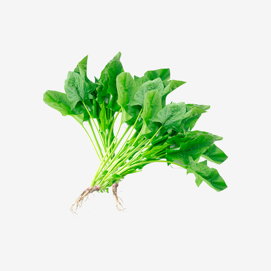 Pea vegetable