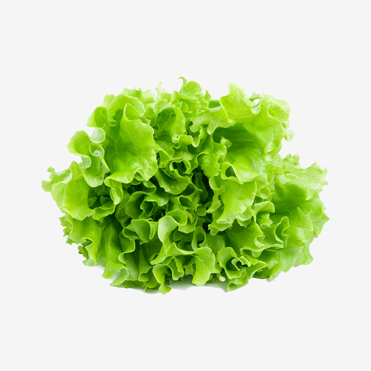 Leaf lettuce