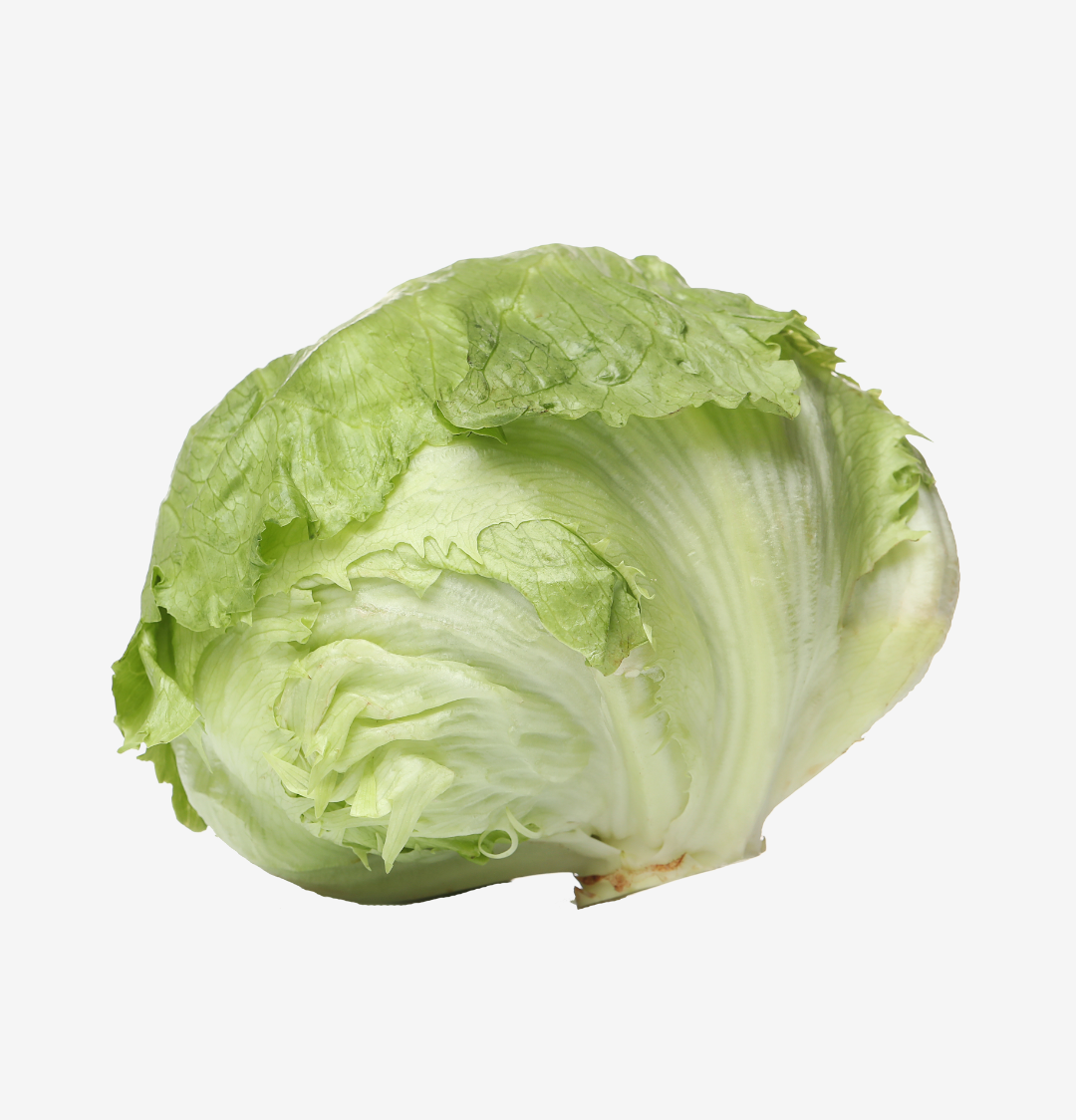 Leaf lettuce