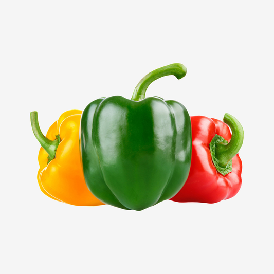 Capsicum pepper