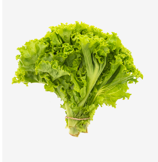 Leaf lettuce