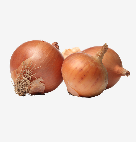 Raw onions surface
