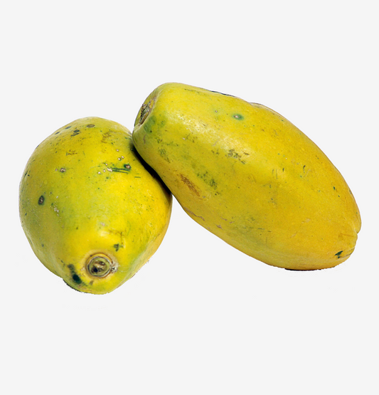 Papaya green fruits